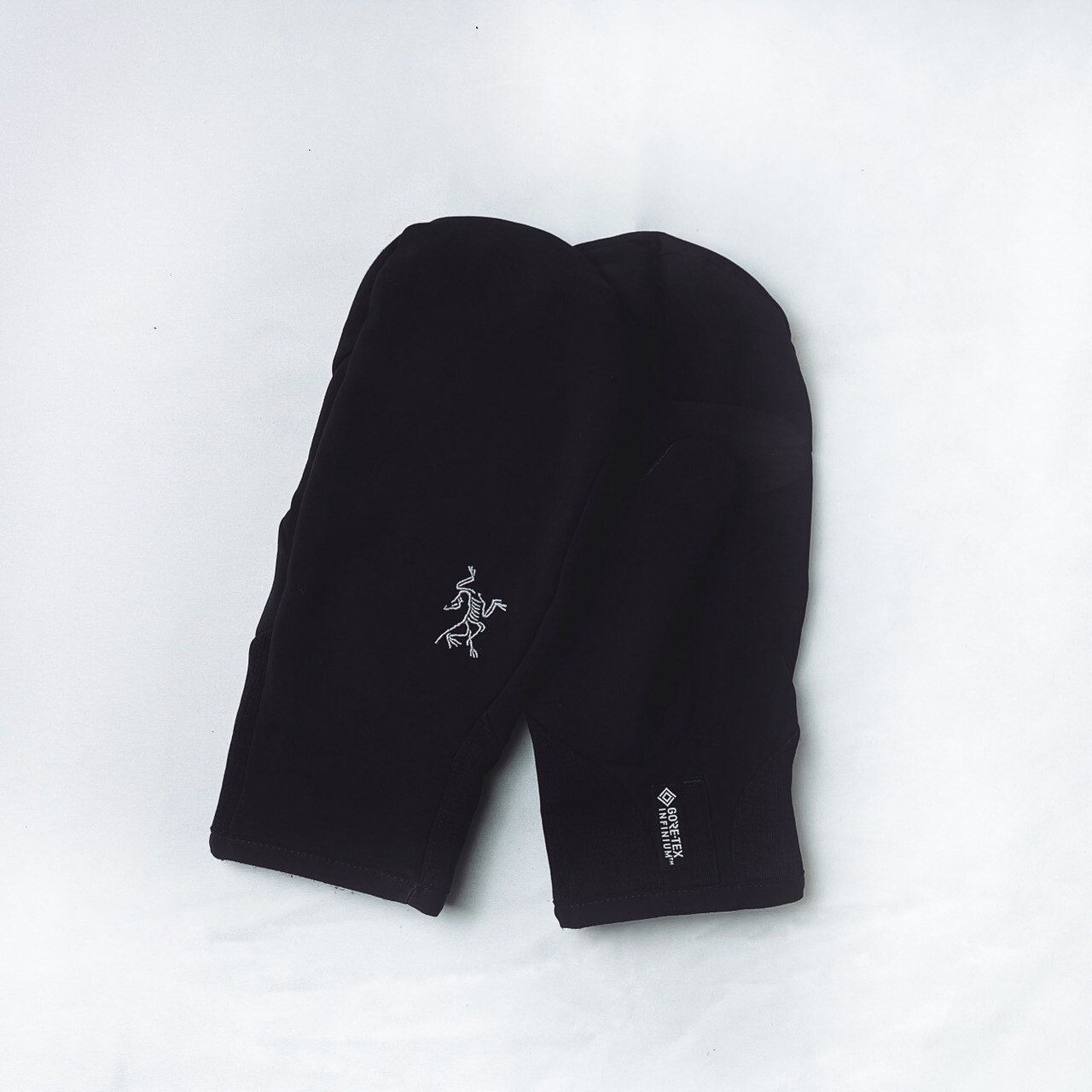 アークテリクス ベンタミトン ARC'TERYX VENTA MITTEN ユニセックス