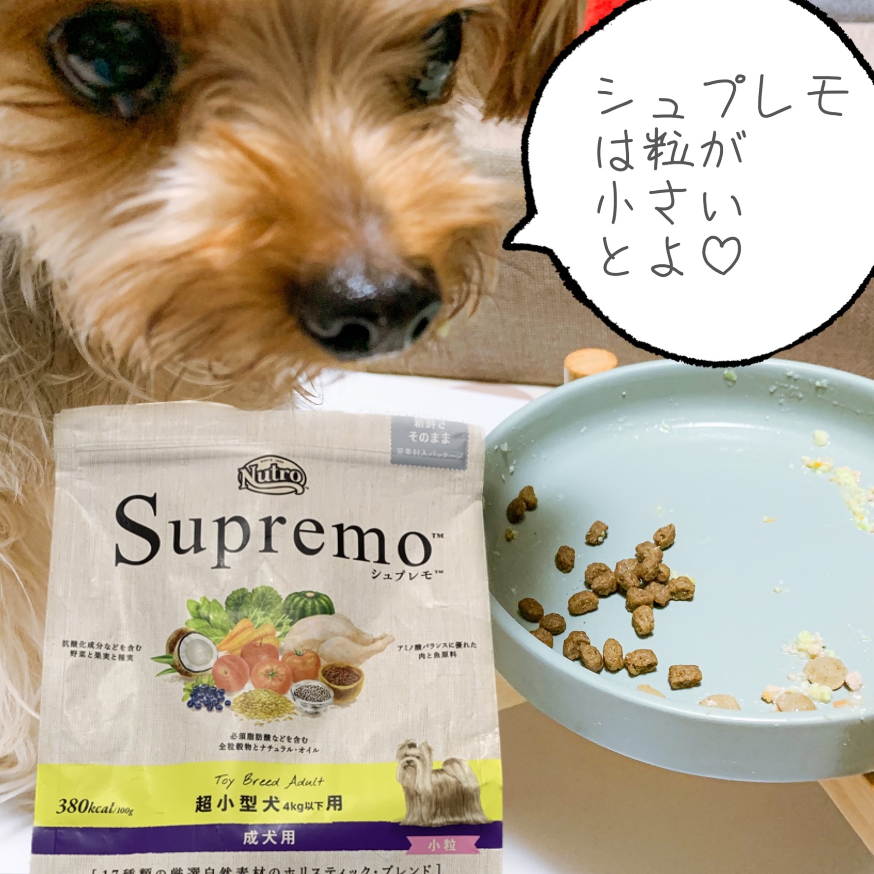 ポイント最大10倍！5/23 20:00〜5/27 01:59まで お試し 公認店