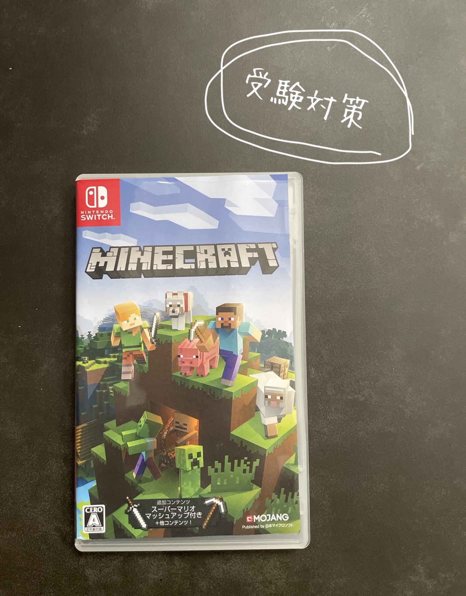 送料無料・在庫あり】任天堂｜Nintendo Switch Minecraft