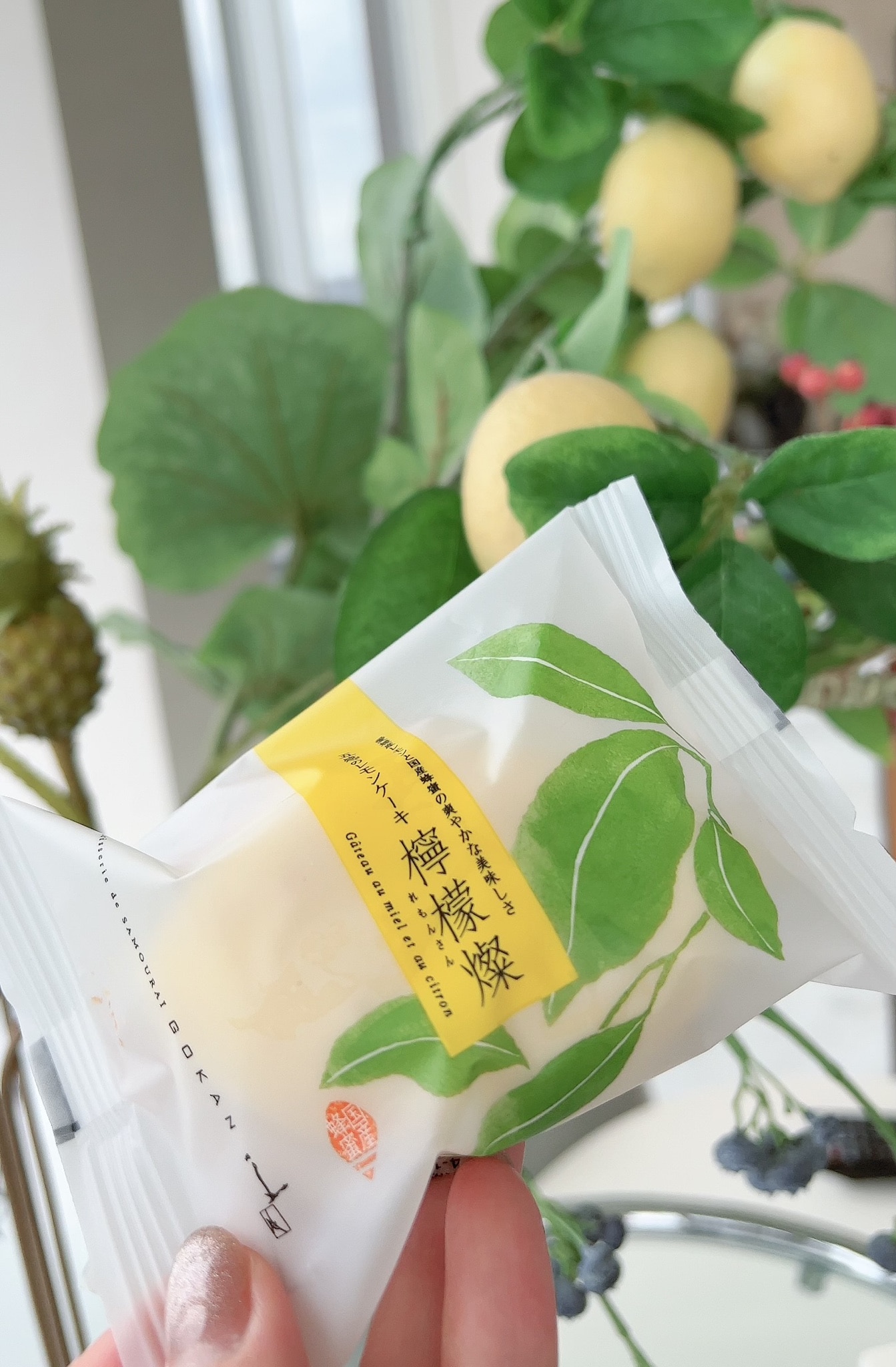 ff97b7ba391b461b42ec40450e8334